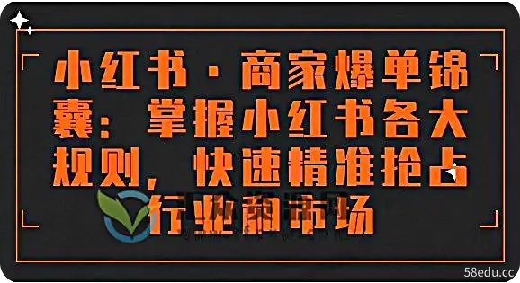 《小红书·商家爆单锦囊》掌握小红书各大规则，快速精准抢占行业和市场插图