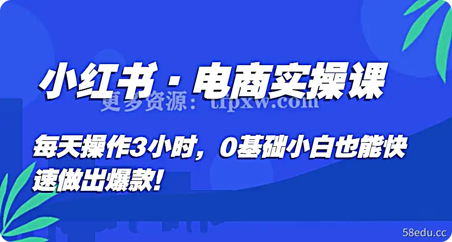 小红书·电商实操课：每天操作3小时，0基础小白也能快速做出爆款！插图